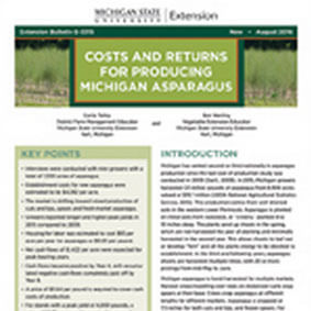 Costs and Returns for Producing Michigan Asparagus