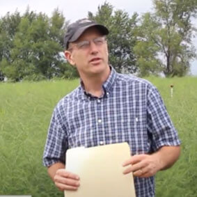 Asparagus Irrigation Trials (Video)